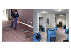 Expert Water Damage Carpet Restoration Services - Restore Your Carpets to Pristine Condition!