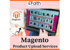 Cost-Efficient Magento Product Upload Services at Fecoms