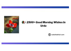 3000+ Good Morning Message In Urdu | Good Morning SMS In Urdu | Good Morning Pic In Urdu