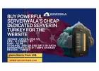 Buy Powerful Serverwala’s Cheap Dedicated Server in Turkey for the Website