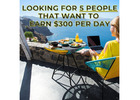 Attn Tampa...stay at home moms, retiree's  and college student.want to learn how to earn daily p