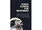 Forex Course For Beginners