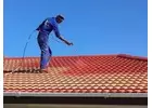 Best roof painting company