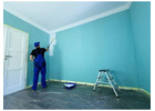 Best Service for Domestic Painting in Arbury