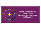 Best Astrologer in Mulugu