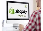Get Top Rated Shopify Design & Development services in Delaware