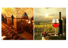 Discover Massaya Winery: The Essence of Lebanon