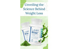 "Lean Bliss: Natural Weight Loss and Blood Sugar Balance"