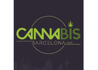 Marijuana Barcelona - Cannabis Barcelona