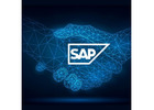 Unlock Business Potential with SAP Business One