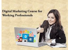 Best Digital Marketing Training Course Near You
