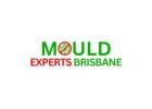 Best Home Mould Inspection in Brisbane