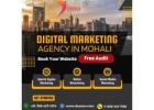 Best Digital Marketing Agency in Mohali