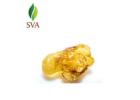 Organic Essential Oil Exporter | SVA