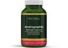 Best Andrographis Supreme For Immune & Liver Support