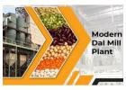 How to Establish a Dal Mill Plant to Expand Your Grocery Business?