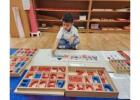 Primary Montessori Takes Care Of Young Learners