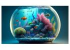 Visit Famous Pets for All Your Aquarium Needs