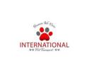 International Pet Transport