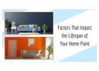 Sydney Painters - Transform Your Space Today!