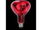 R40 Natural Red Glass IR Lamp