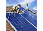 Pigeon pest Control Solar Panels