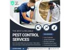 Protect Your Gold Coast Investments with Quality Termite Inspections