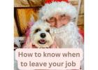 The Great Escape How to Know When to Leave Your Job