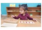 The Power of Montessori Toddler Learning