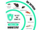 Expert Termite Inspection Services in Brisbane – Protect Your Property Today!