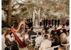 Charming Outdoor Wedding Venues in Los Angeles for Your Dream Day