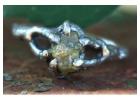 **Excellent Prices online** Exquisite Raw Natural Diamond Rings