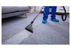 D&G Carpet Cleaning: Expert Dry Cleaning for Your Rugs