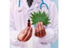 Best MMJ Doctors