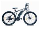 Top performance Ebike with removable battery-Stryder Bikes