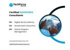 Certified Salesforce Consultants