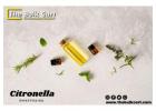 Citronella Oil Wholesale Price from The Bulk Cart