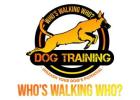 Who's Walking Who? Dog Training Utah