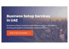 Business Setup Services in UAE