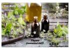 Bulk Thyme Essential Oil Supplier at The Bulk Cart