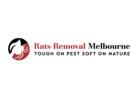 Rat Removal Melbourne