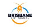 E Wasp Removal Brisbane