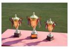 Affordable Corporate Trophies Available in Australia