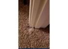 Invisible Carpet Repair Gold Coast