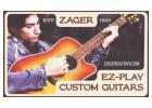 Experience the Precision with Zager Guitar’s Curved Guitar Pick