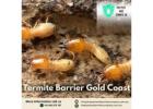 Effective Termite Barrier Solutions in Gold Coast