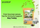 Pure Soursop Leaves Tea for Immune Support – Buy Today