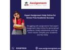 Expert Assignment Help Online for Stress-Free Academic Success