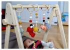 Montessori Play Gym with Safe and Educational Fun for Your Child