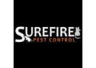 SureFire Wasp Control Melbourne